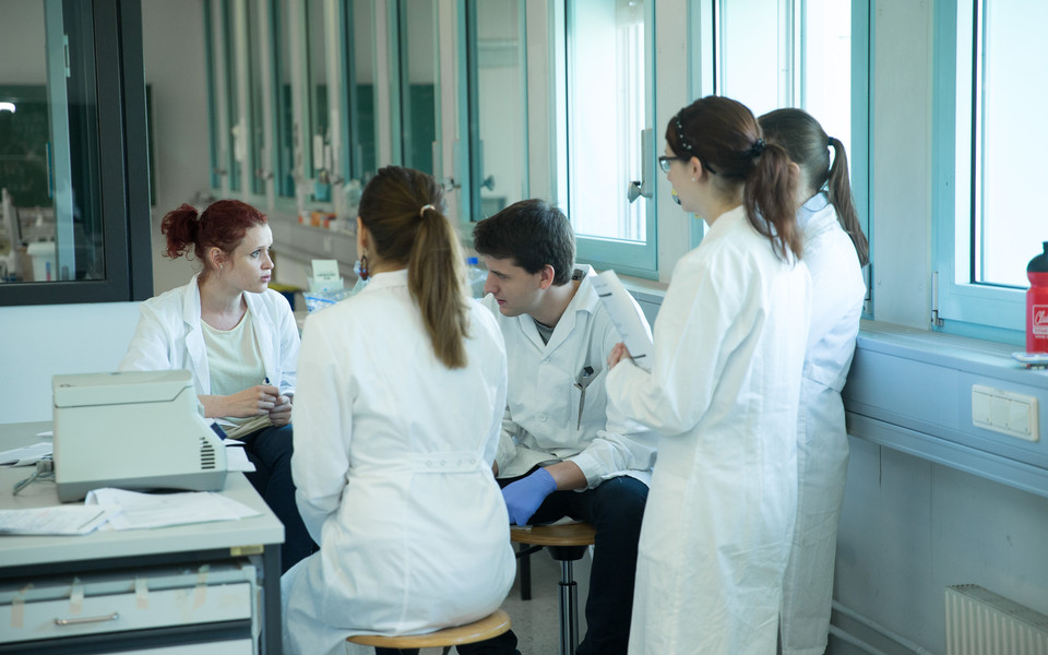 Students during mentoring. Credit: Daniel Hinteramskogler for Max Perutz Labs