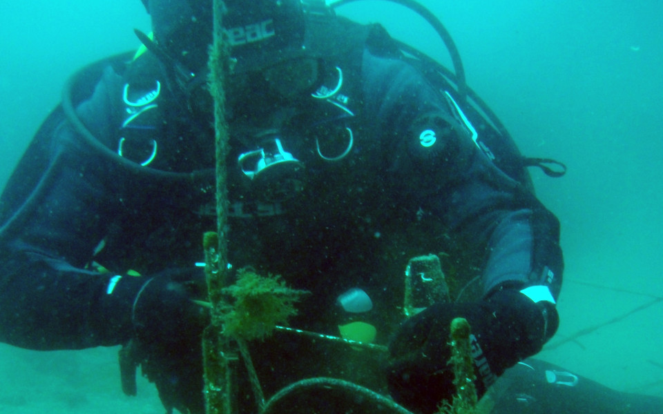 Post-doc and co-author Enrique Arboleda retrieving light measurement data. (c) Enrique Arboleda, Max Perutz Labs